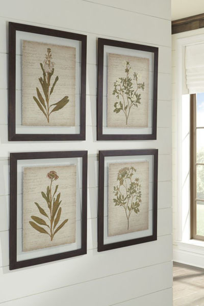 Picture of Dyani 4PC Botanical Print Set