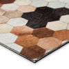 Picture of Stetson Canyon 8X10 Rug